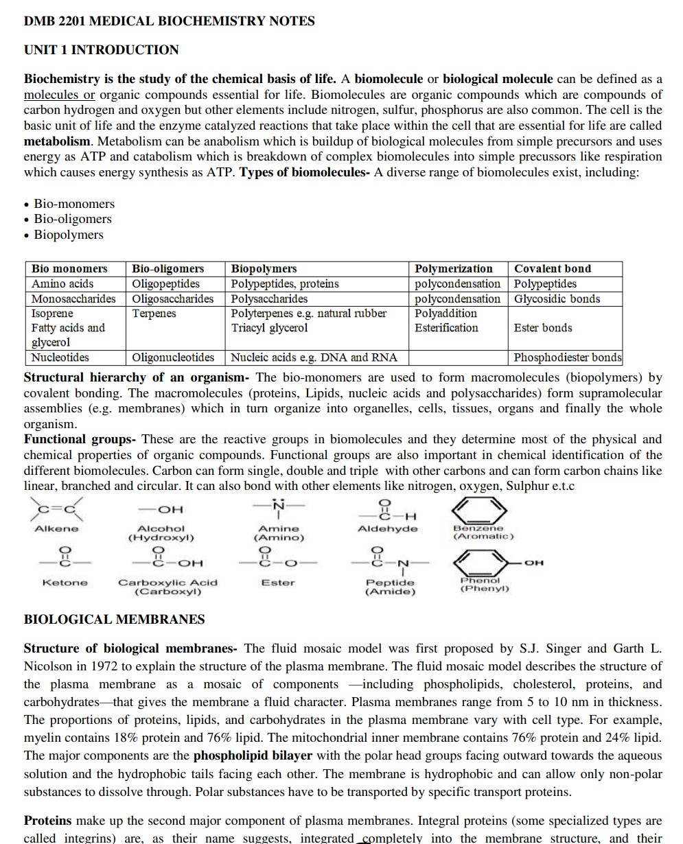 No preview available